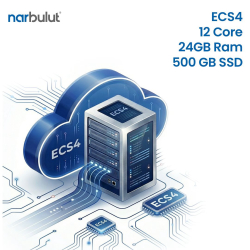Narbulut Bulut Sunucu Hizmeti - Ecs4 12Core 24Gb Ram 500Gb Ssd 1 Aylık