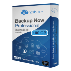 Narbulut Backup Now 100Gb Professional Edition -1 Server - 1 Yil