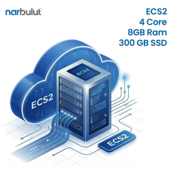 Narbulut Bulut Sunucu Hizmeti - Ecs2 4Core 8Gb Ram 300Gb Ssd 1 Aylık